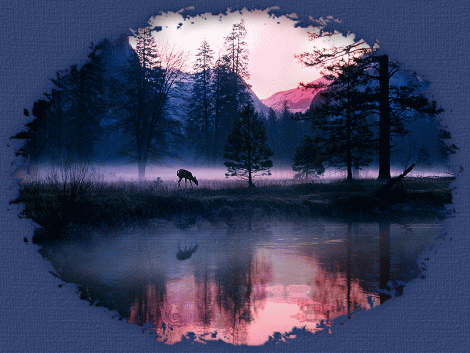 Bonjour tout le monde